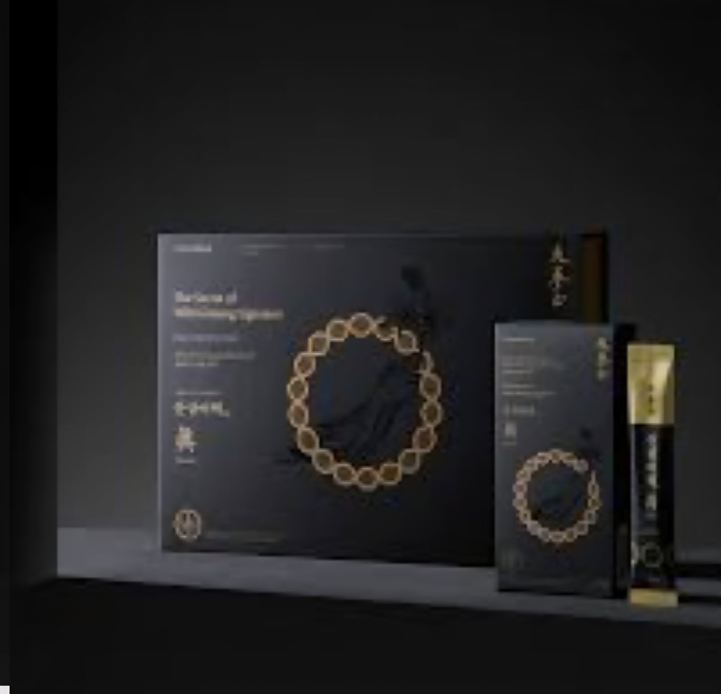 산삼비책진 더 블랙 Wild Ginseng the Black