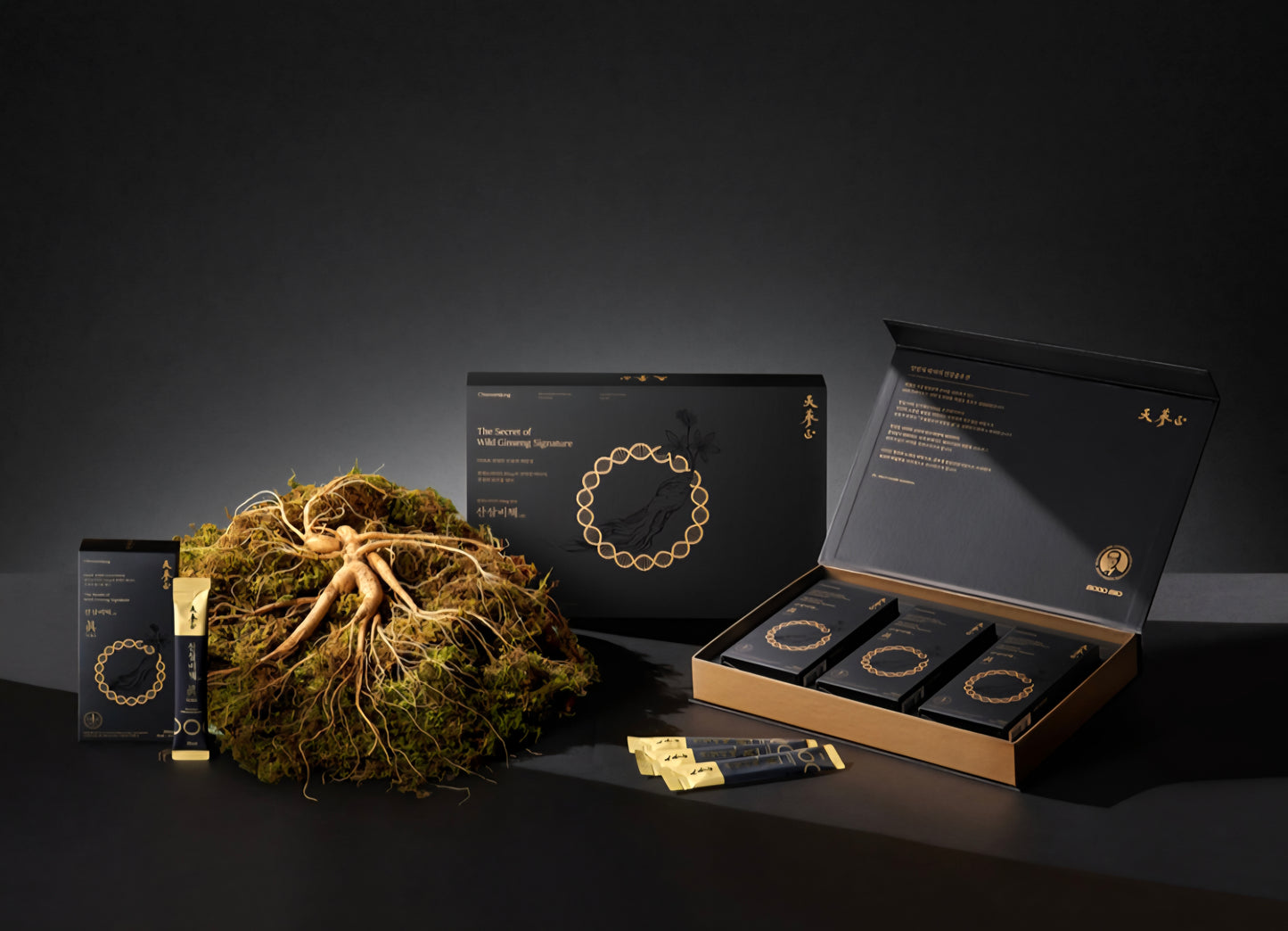 산삼비책진 더 블랙 Wild Ginseng the Black