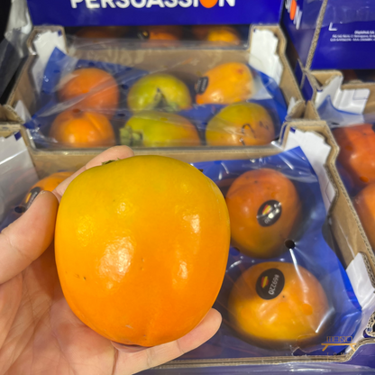 (NEW) 카키 홍시 Kaki Persimmon