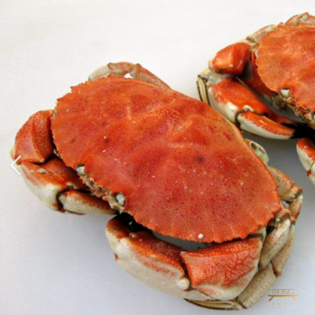 찐 조나크랩 조리법 Cooked Jonah Crab Recipe