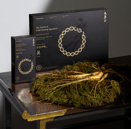 산삼비책진 더 블랙 Wild Ginseng the Black